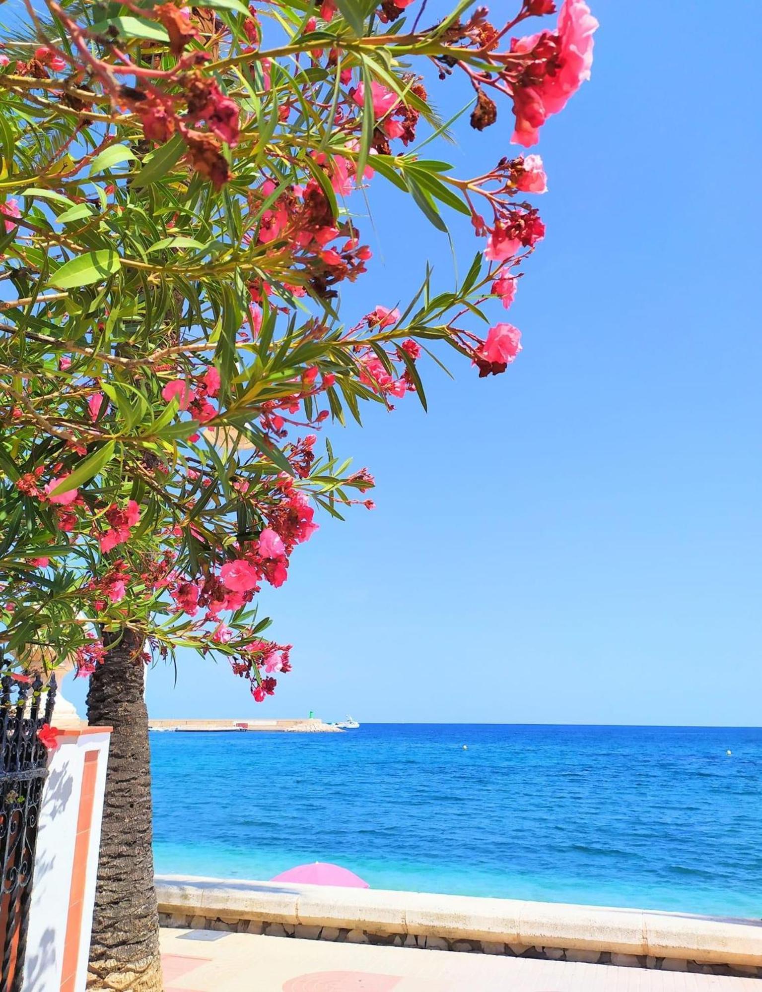 Javea Arenal Beach Kültér fotó