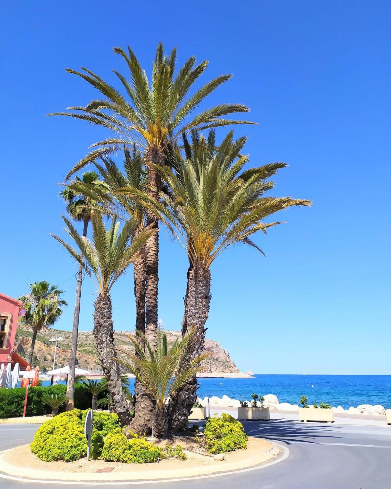 Javea Arenal Beach Kültér fotó